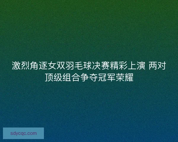 激烈角逐女双羽毛球决赛精彩上演 两对顶级组合争夺冠军荣耀
